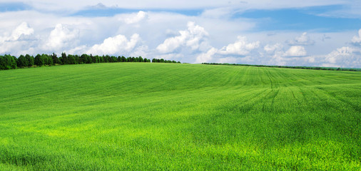 green field