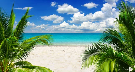 Tuinposter Tropisch strand zee
