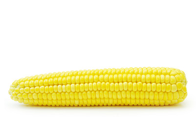 maize