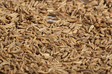 der Kümmel im Gewürzfach © Herby Meseritsch