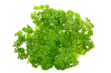 Parsley isolated