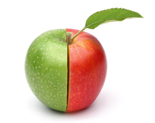 Granny Smith and Gala Apple