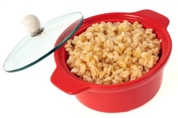 Cocotte de blé tendre