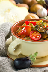 Homemade vegetable stew