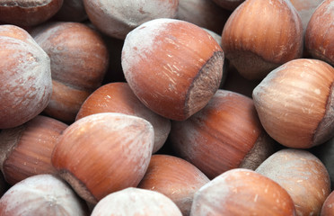 hazelnuts