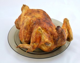 grilled chicken