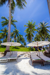 white umbrella and chairs under coconut tree