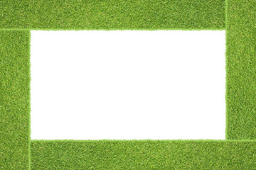 Green grass texture and background