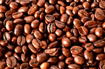 Naklejka premium Coffee bean