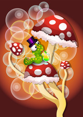Mushrooms, illustration