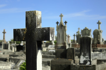 Friedhof Neuseeland