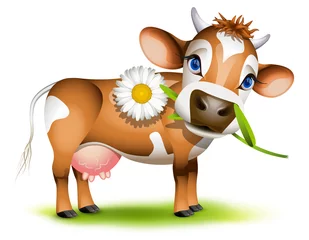 Selbstklebende Fototapete Bauernhof Kleine Jersey-Kuh, die Gänseblümchen isst