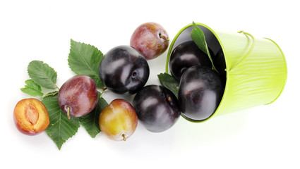 Rip plums in pail isolated on white