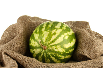 Ripe watermelon in sackcloth on white background close-up