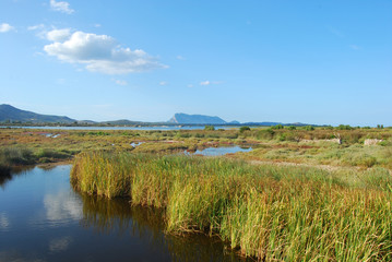 The pond of San Teodoro - Sardinia - Italy - 581