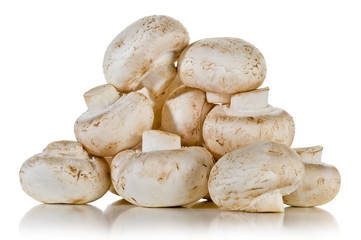 Fototapeta premium Mushrooms