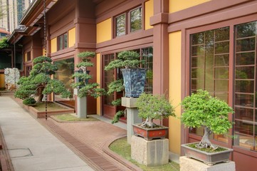Fototapeta na wymiar jardin de bonsai à hong kong