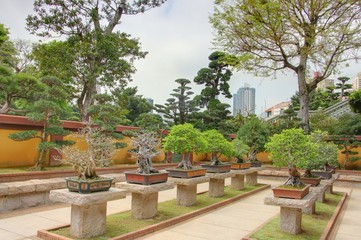 jardin de bonsai à hong kong