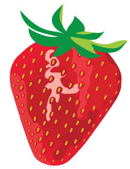 vector strawberry