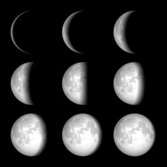 Naklejka premium Moon Phases