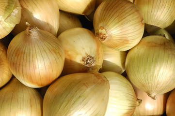 Healthy onion vegetable food