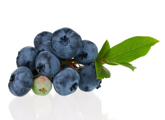 Blueberries on white