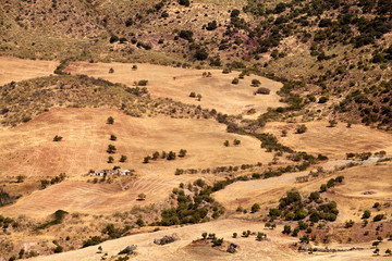 typical Andalusian landscape