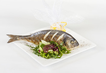 Dorada fish with salad on the white plate. Studio shot