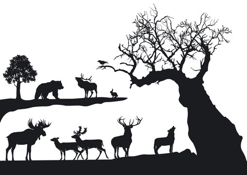 knorriger Baum mit Wildtieren