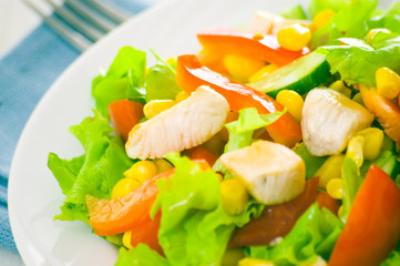 fresh vegetable salad with chicken
