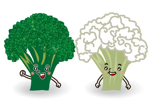 ブロッコリーとカリフラワーのイラスト Stock Vector Adobe Stock