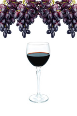Red wine and bunch grape