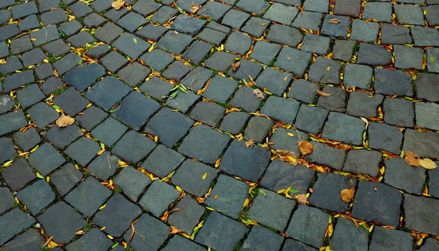 stra&szlig;e aus pflasterstein im herbst