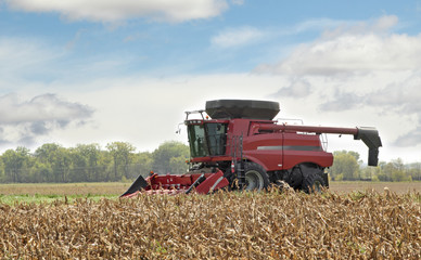 Fototapeta na wymiar Combining a Corn Field