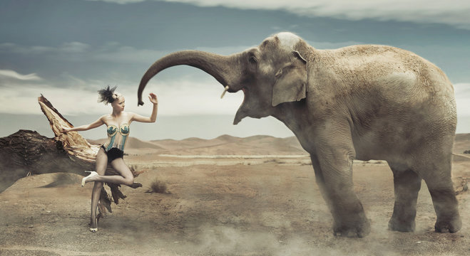 Sexy fashionable lady with elephant - Powered by Adobe