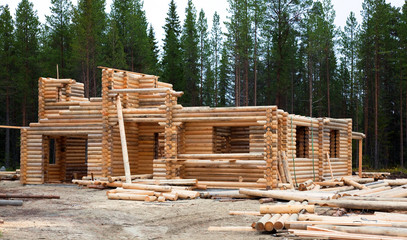 Construction of log houses - obrazy, fototapety, plakaty