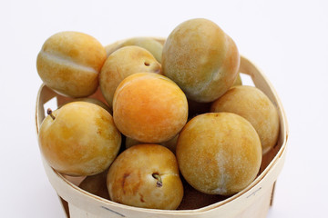 Panier de reine claude