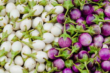 White and violet eggplant at the market