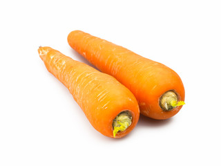 fresh carrot