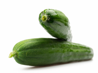 fresh cucumber
