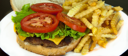 delicious hamburger with fries
