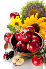 Red apples and sunflower