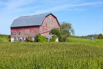 Obraz premium Barn