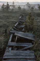 Broken road in a marsh at dark night