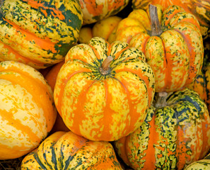 yellow pumpkin background