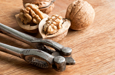 Fototapeta premium Seasonal nuts