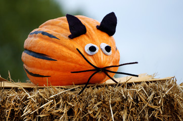 pumpkin mouse on a bale of straw - 45344241