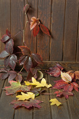Naklejka na ściany i meble autumn leaves on old wooden background