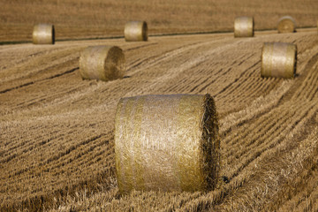 Strohballen