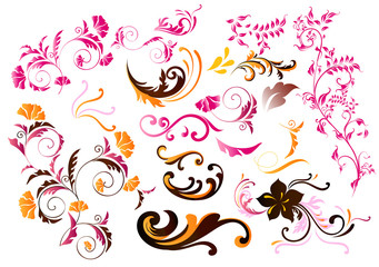 Collection of color calligraphic  vector elements
